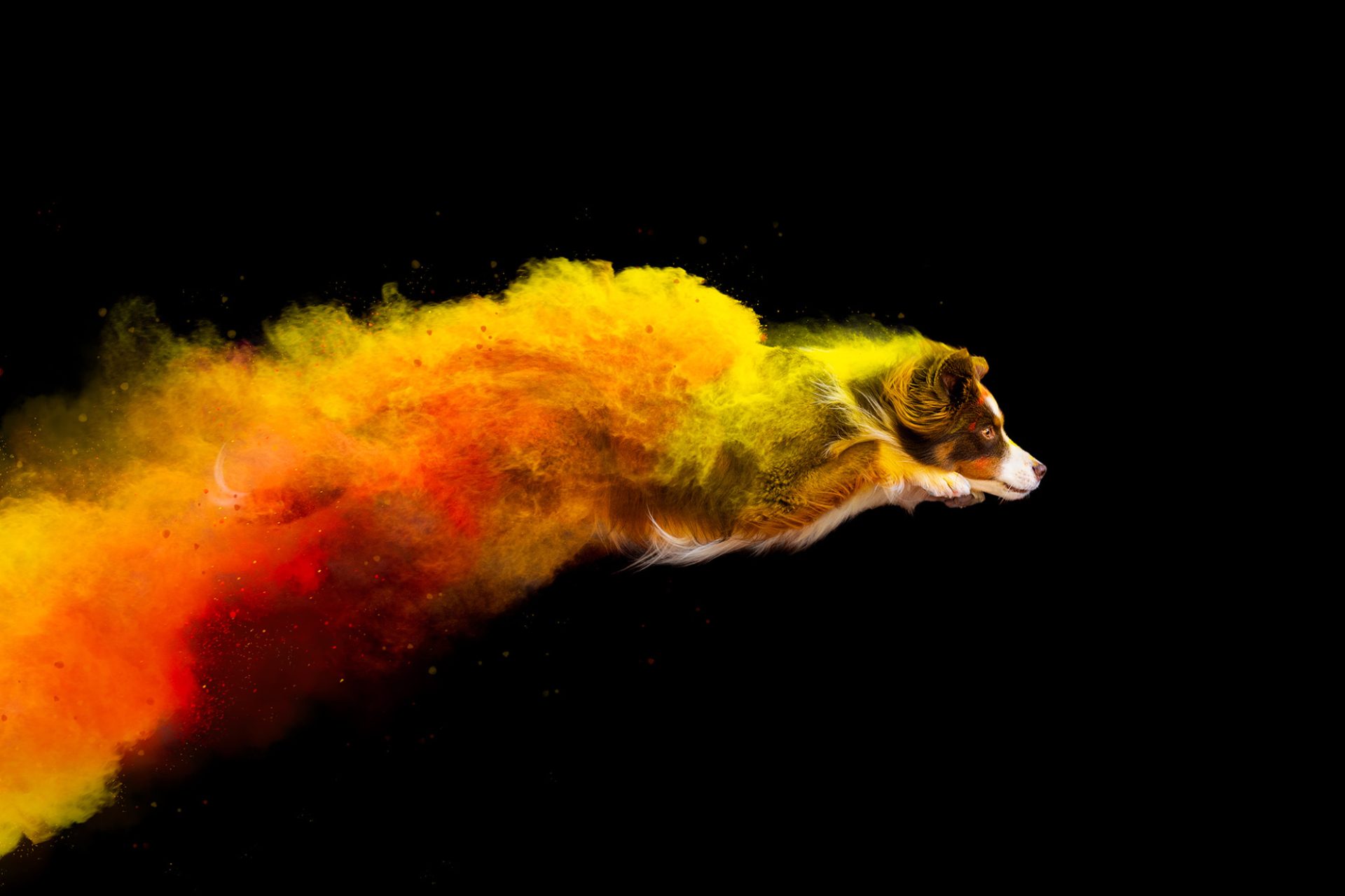 FluffyPixels - galerija slik